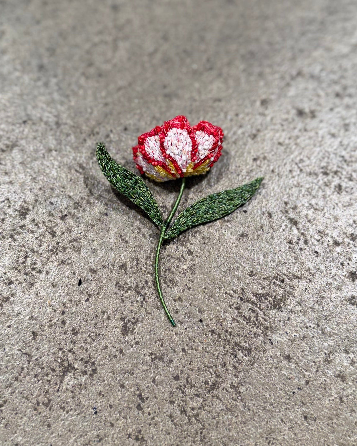 #farbe_Tulpe